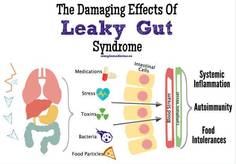Leaky Gut effects Leaky Gut effects
