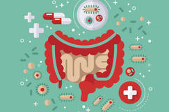 Leaky Gut Leaky Gut