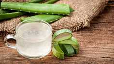 leaky gut aloe vera leaky gut aloe vera